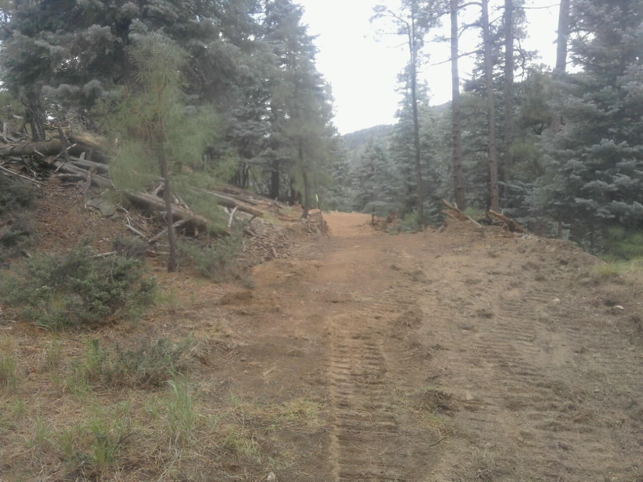 My PRESCOTT FOREST PROPERTY for SALE BY OWNER